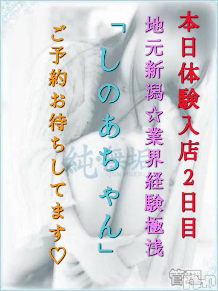 長岡デリヘル(ジュンムク)の2025年6月26日お店速報「出勤２日目!!地元新潟🌟経験極浅【しのあちゃん】ご予約下さい！」