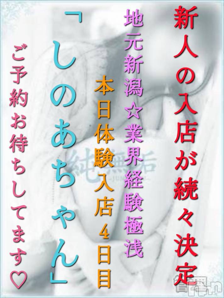 長岡デリヘル(ジュンムク)の2025年7月4日お店速報「出勤4日目!!地元新潟🌟経験極浅【しのあちゃん】ご予約下さい！」