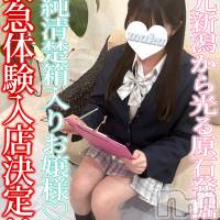 長岡デリヘル 純・無垢(ジュンムク)の4月9日お店速報「新人🔰地元新潟清純清楚箱入りお嬢様【よつばちゃん20歳】」