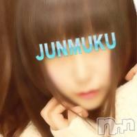 長岡デリヘル 純・無垢(ジュンムク)の1月11日お店速報「本日！！激カワ美少女初体験入店決定！！」