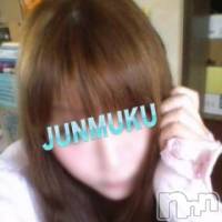 長岡デリヘル 純・無垢(ジュンムク)の2月16日お店速報「明日！爆乳ロリ美少女初体験入店決定！！」