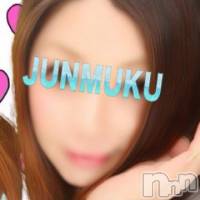 長岡デリヘル 純・無垢(ジュンムク)の9月29日お店速報「ロリ・清純・無垢な女の子をお探しならすぐお電話を！！」