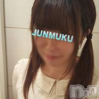 長岡デリヘル 純・無垢(ジュンムク)の11月24日お店速報「本日も激アツ！ロリ・清純・激カワ新人盛りだくさん♪」