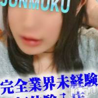 長岡デリヘル 純・無垢(ジュンムク)の6月17日お店速報「本日激アツ!!業界未経験美少女出勤中!!」