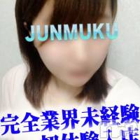 長岡デリヘル 純・無垢(ジュンムク)の6月28日お店速報「完全業界未経験美少女出勤中！お電話お早めに!!」