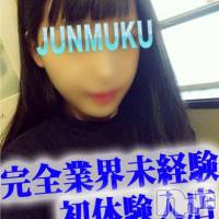 長岡デリヘル 純・無垢(ジュンムク)の8月13日お店速報「☆体験入店速報☆本日、完全業界未経験美少女出勤♪」