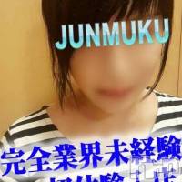長岡デリヘル 純・無垢(ジュンムク)の9月12日お店速報「本日初体験入店!!パーフェクトガール出勤決定!!」