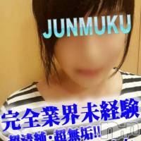 長岡デリヘル 純・無垢(ジュンムク)の10月13日お店速報「★完全業界未経験美少女★清楚系美少女出勤中♪」