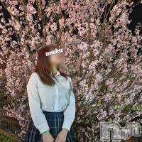 長岡デリヘル 純・無垢(ジュンムク)の4月12日お店速報「舞い降りた天使！【ななちゃん】今スグご案内可能です！」