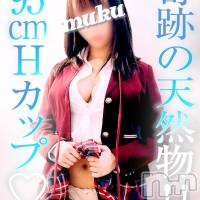 長岡デリヘル 純・無垢(ジュンムク)の4月18日お店速報「驚異の天然物美爆乳!!95cm 美爆乳『ゆなちゃん』体験乳店決定です!!」