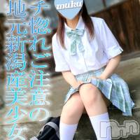 長岡デリヘル 純・無垢(ジュンムク)の11月11日お店速報「店主激オシ！！【ひかり】ちゃん本日11時より出勤決定!!」