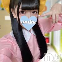 長岡デリヘル 純・無垢(ジュンムク)の11月17日お店速報「本日最終日!!🔰現役女子大性🌟【らら】ちゃん只今絶賛出勤中!!」