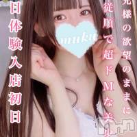 長岡デリヘル 純・無垢(ジュンムク)の6月20日お店速報「本日体験入店初日!!!くるみちゃん体験入店中!!!」