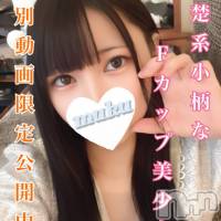 長岡デリヘル 純・無垢(ジュンムク)の7月11日お店速報「本日が最終日となっています( ；∀；)」