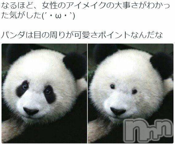 Х顦Diletto(ǥå)  2017ǯ29̥֥()