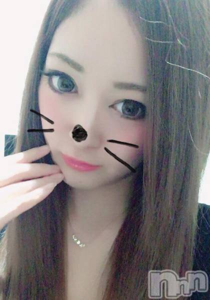 Х顦Diletto(ǥå)  2017ǯ210ֺ̥֥μ̥〜( ࡦ)