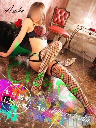 新潟デリヘル(ミンクス)の2019年2月13日お店速報「当店自慢の満足嬢12名が出勤☆大幅割引のメンバーズカード配布中♪」