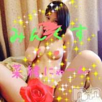 新潟デリヘル Minx(ミンクス)の4月13日お店速報「またもや新人入店！！新人・体験お姉さんが見逃せない♪」