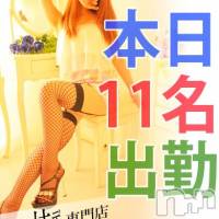 新潟デリヘル Minx(ミンクス)の5月31日お店速報「今宵も美人と出逢える♪⇒2,000円オフ(･∀･)」