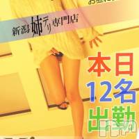新潟デリヘル Minx(ミンクス)の7月8日お店速報「今年の七夕を彩る美人お姉さん多数出勤♪」
