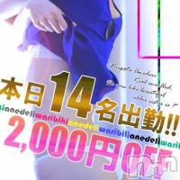 新潟デリヘル Minx(ミンクス)の11月21日お店速報「お知らせ見た!で全コース2,000円オフ☆」