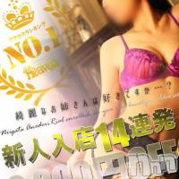 新潟デリヘル Minx(ミンクス)の2月5日お店速報「総勢13名出勤!見なきゃ損する2,000円OFF！」
