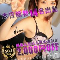 新潟デリヘル Minx(ミンクス)の11月16日お店速報「地元お姉さんを2000円オフでご案内☆」
