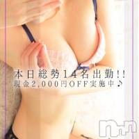 新潟デリヘル Minx(ミンクス)の12月14日お店速報「総勢14名☆納得のお姉さんを全コース2000円引き☆」