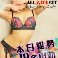 新潟デリヘル Minx(ミンクス)の11月13日お店速報「総勢14名の新潟美女が全力ご奉仕！お得に遊ぶなら今がチャンス☆」