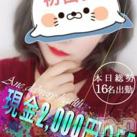 新潟デリヘル Minx(ミンクス)の3月12日お店速報「連日新人入店中！総勢16名出勤＆2,000円OFF♪ 」