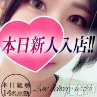 新潟デリヘル Minx(ミンクス)の3月5日お店速報「県内トップクラス14名出勤☆全コース2000円割引にてご案内♪」