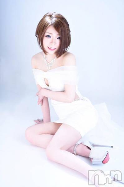 ܱХ顦֥ ץ ( ץ ޥĥ)  2017ǯ628̥֥֥ץʾ󡪽μ亮꡼˥祳