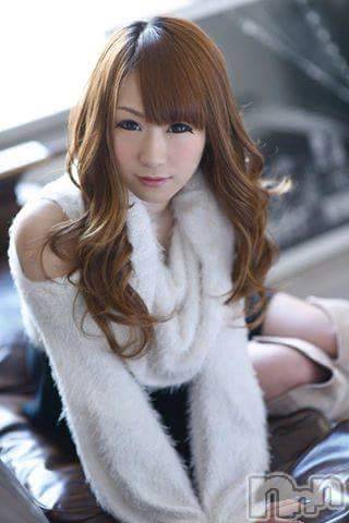 ܱХ顦֥ ץ ( ץ ޥĥ)  2019ǯ89̥֥֥ץʾ!PC󥸥mini8ȥɲ!