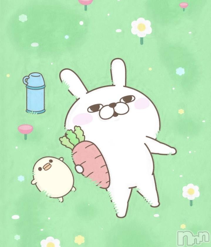 ĮХ顦֥ ץ ( ץ )  ͥ615̥֥.