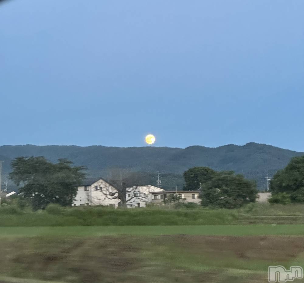 ĮХ顦֥ ץ ( ץ )  ͥ621̥֥.