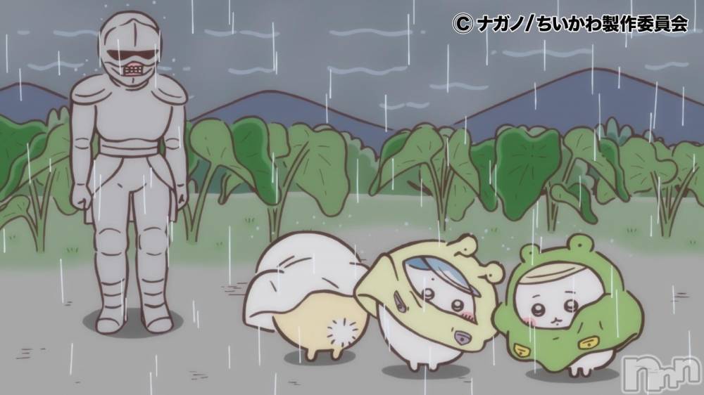 ĮХ顦֥ ץ ( ץ )  ͥ628̥֥.