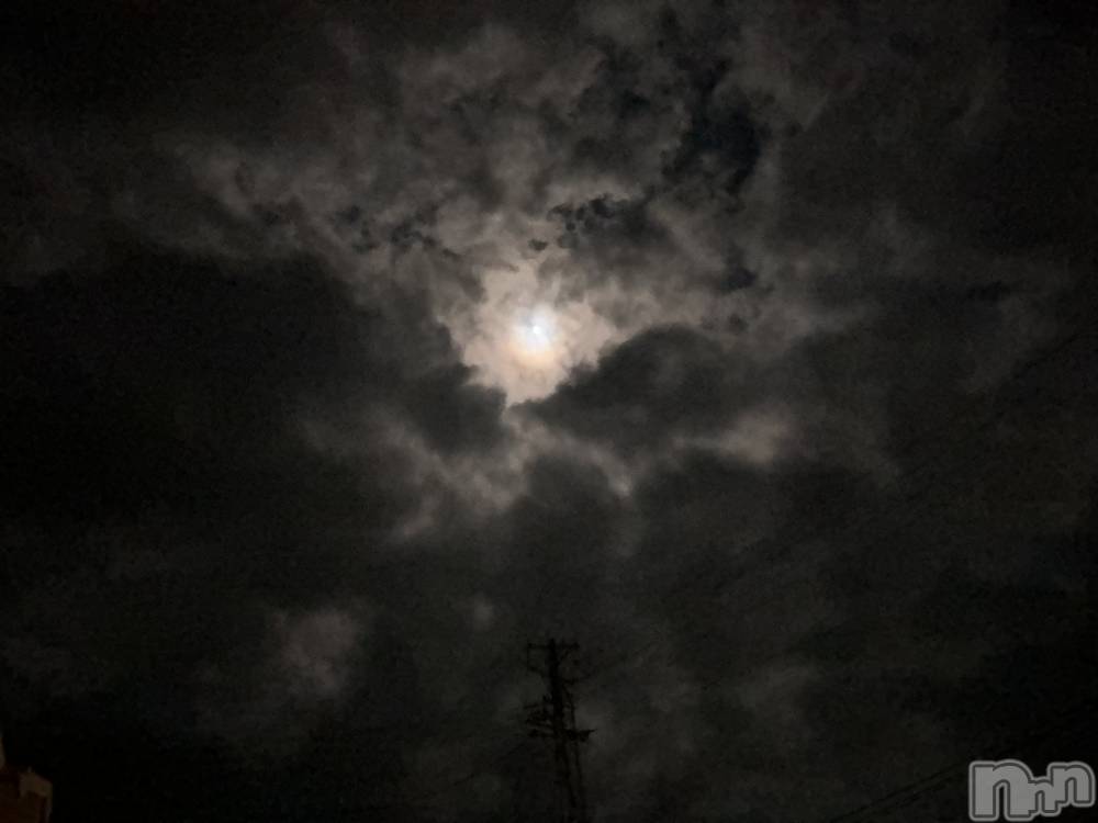 ĮХ顦֥ ץ ( ץ )  ͥ830̥֥.