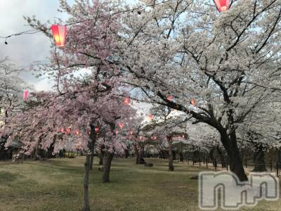ĮХ顦֥ ץ ( ץ )  ͥ411̥֥mi.ob_z5.yu@icloud.com