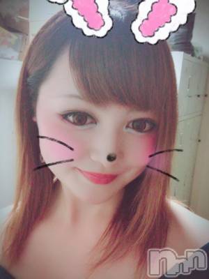 ĮХ顦֥ ץ ( ץ )  ͥ511̥֥(^^)