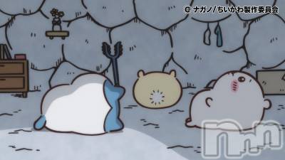 ĮХ顦֥ ץ ( ץ )  ͥ79̥֥.