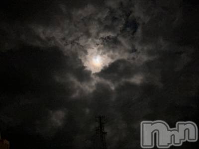 ĮХ顦֥ ץ ( ץ )  ͥ830̥֥.