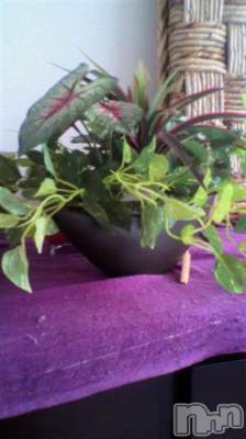 上越デリヘル 上越風俗出張アロママッサージ(ジョウエツフウゾクシュッチョウアロママッサージ) 谷浜☆ちひろ(39)の10月5日写メブログ「お礼です」