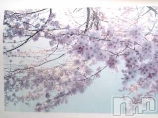 上越デリヘル上越風俗出張アロママッサージ(ジョウエツフウゾクシュッチョウアロママッサージ)さくら☆(36)の2013年11月2日写メブログ「南半球」