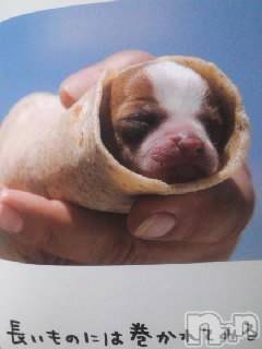 上越デリヘル上越風俗出張アロママッサージ(ジョウエツフウゾクシュッチョウアロママッサージ)さくら☆(36)の2013年11月11日写メブログ「人生ナビ！」