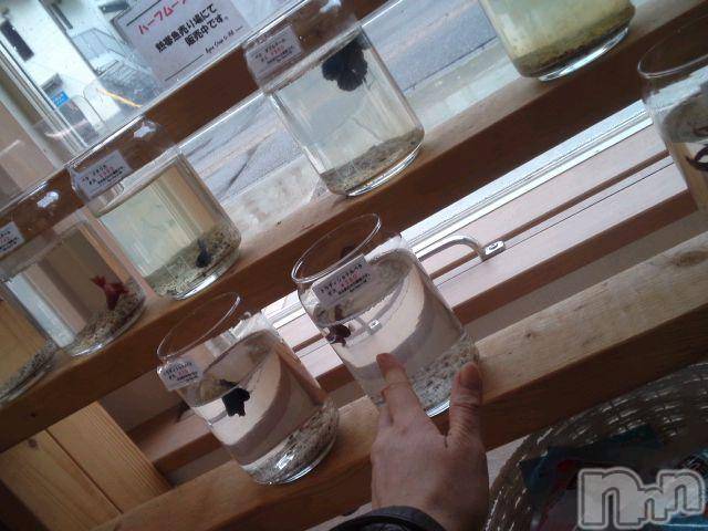 上越デリヘル上越風俗出張アロママッサージ(ジョウエツフウゾクシュッチョウアロママッサージ)さくら☆(36)の2013年12月7日写メブログ「笑顔が一番」