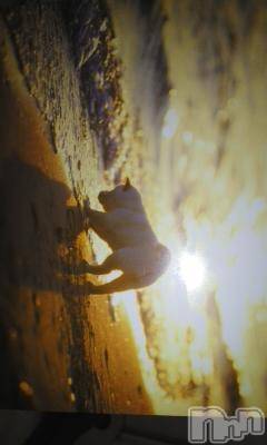 上越デリヘル上越風俗出張アロママッサージ(ジョウエツフウゾクシュッチョウアロママッサージ)さくら☆(36)の2014年1月16日写メブログ「ふぇいばりっと」