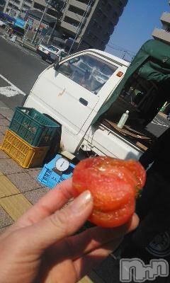 上越デリヘル上越風俗出張アロママッサージ(ジョウエツフウゾクシュッチョウアロママッサージ)さくら☆(36)の2014年5月17日写メブログ「暑かった日」