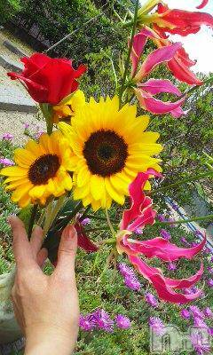 上越デリヘル上越風俗出張アロママッサージ(ジョウエツフウゾクシュッチョウアロママッサージ)さくら☆(36)の2014年6月8日写メブログ「ちいさな太陽」