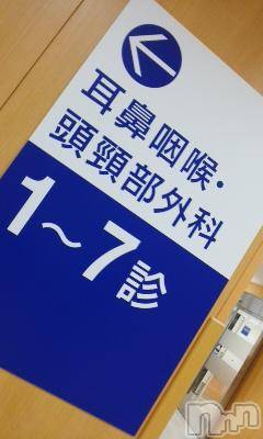 上越デリヘル上越風俗出張アロママッサージ(ジョウエツフウゾクシュッチョウアロママッサージ)さくら☆(36)の2015年6月22日写メブログ「なぜ耳と頭のコラボ?」