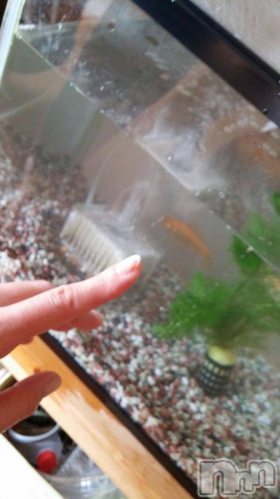 上越デリヘル上越風俗出張アロママッサージ(ジョウエツフウゾクシュッチョウアロママッサージ)さくら☆(36)の2015年7月6日写メブログ「我輩は金魚である。名前はまだない」